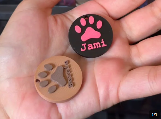 Mon Gardien — Médaillon NFC pour chat
