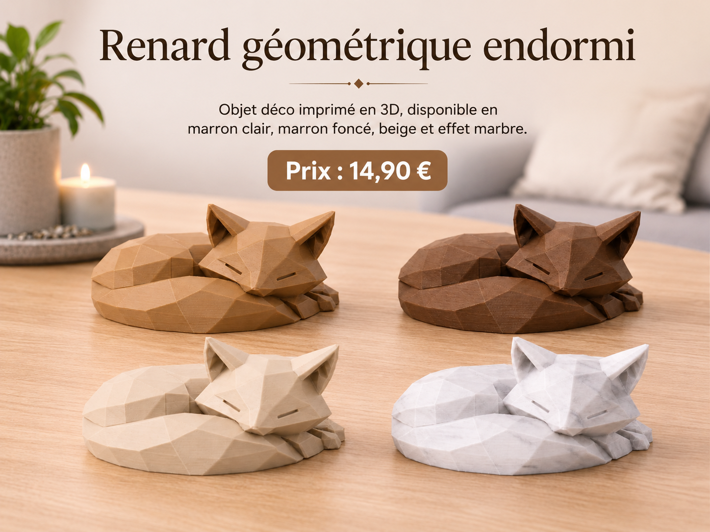 Renard géometrique